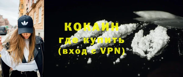 ECSTASY Бородино