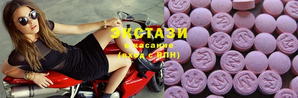 ECSTASY Бородино